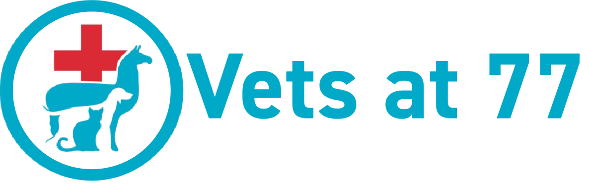 Vets 77 Logo